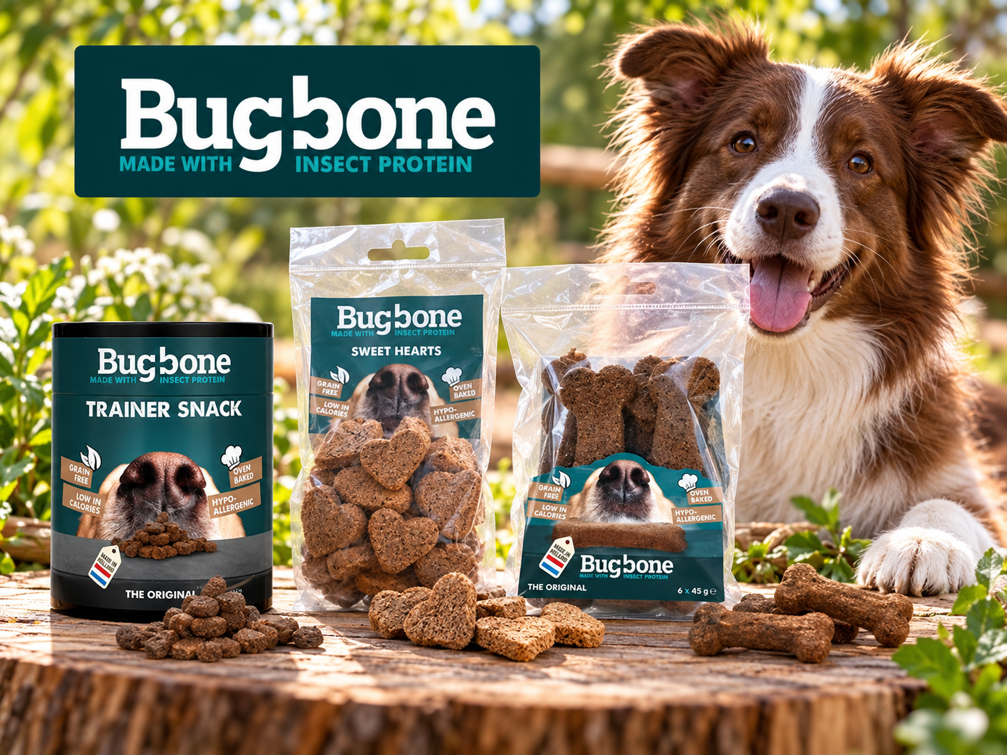 BugBone – hypoalergenní hmyzí pamlsky pro štěňata a dospělé psy
