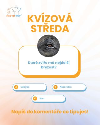 ✨ Připravili jsme si pro vás novinku → Kvízová středa! Každý týden jedna otázka o zvířatech, správná odpověď a krátký fun...
