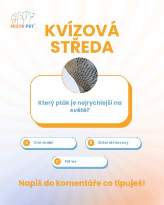 „Máme tu středu! 🧠💥 Tipneš si správnou odpověď v našem kvízu? Dej nám vědět do komentářů!👇 #petshop #pet #pets #dogs #cats...