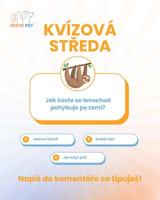🦥 Kvízová středa je tu! Lenochodi jsou známí tím, že nespěchají… ale víš, jak často se pohybují po zemi? 🌿 👉 Mrkni na náš...