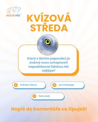 🧠 Kvízová středa je tu! Jedna otázka, tři možnosti — zvládneš vybrat tu správnou? 🤔 👇 Hlasuj v komentářích (A, B nebo C) a...