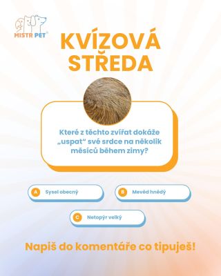 🔎Je tu KVÍZOVÁ STŘEDA! 🎯 Hlava zapíná, myšlenky startují… Uhádneš dnešní otázku? 👀 #petshop #pet #pets #dogs #cats...