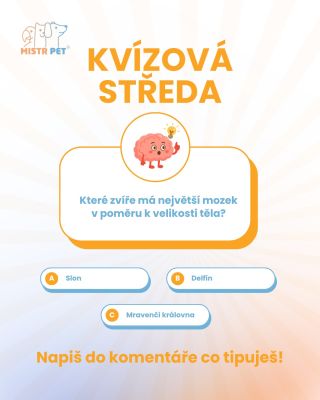 Mozky do pohotovosti, kvízová siréna zní! 🚨 Ano, je tu zase KVÍZOVÁ STŘEDA – čas dokázat, že víš (nebo aspoň tipuješ se...