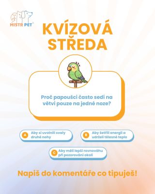 Je čas na Kvízovou středu! Napiš své tipy do komentářů a ukaž, jak dobrý máš postřeh. 👇🧠